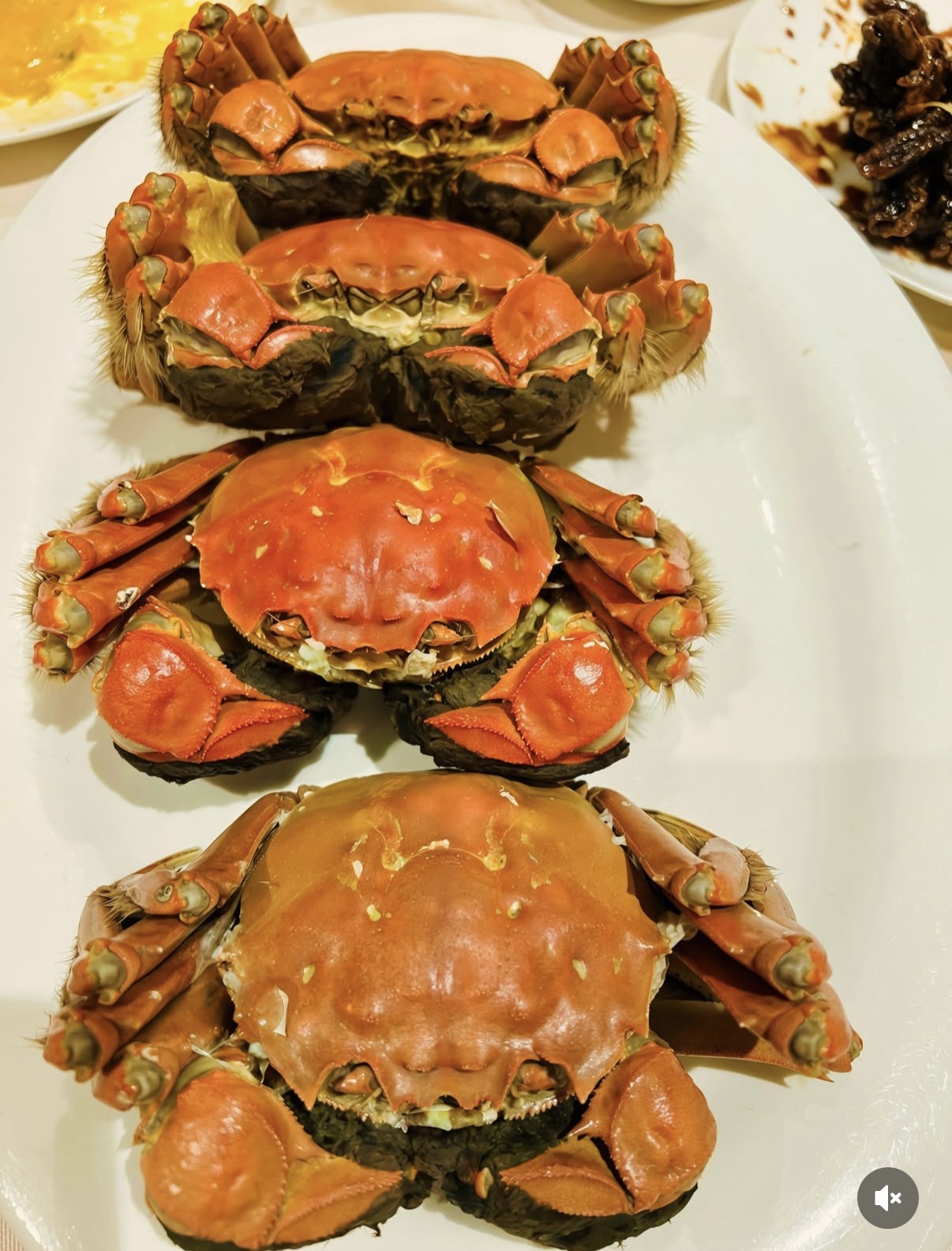 名媛薛芷伦庆祝62岁生日，一身少女装扮状态年轻，仨子女低调现身