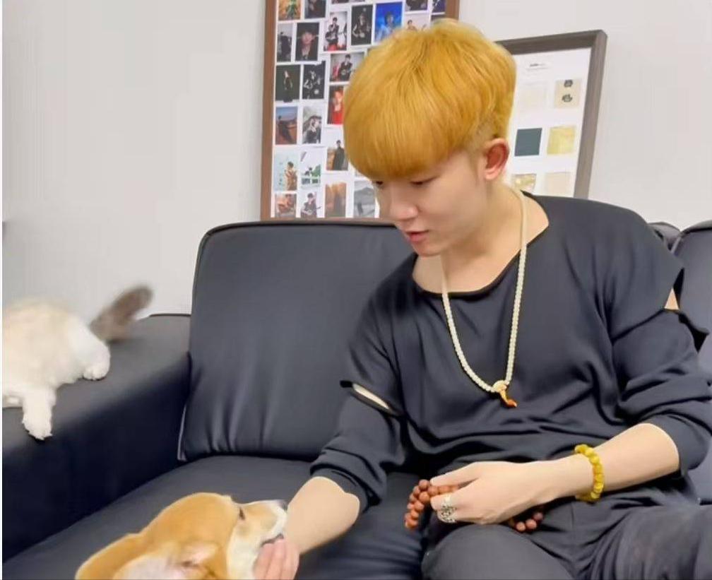 内娱今天真热闹！李明德刑满释放，李易峰迎坏消息，资本彻底输了