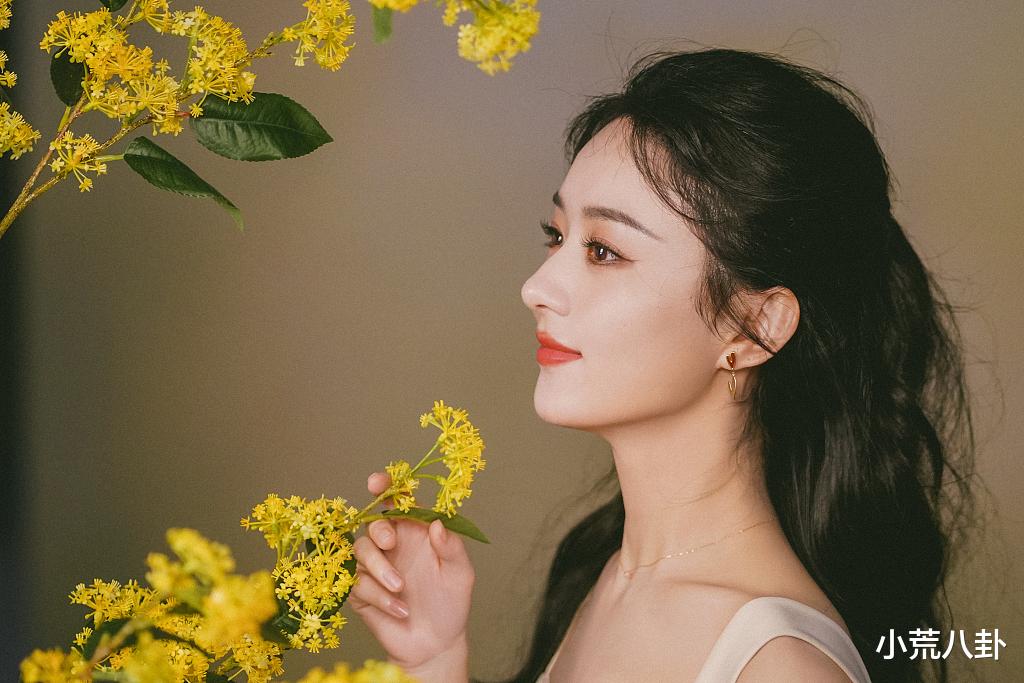 赵丽颖,肖战,王鹤棣,刘亦菲,舒淇,白鹿,范丞丞