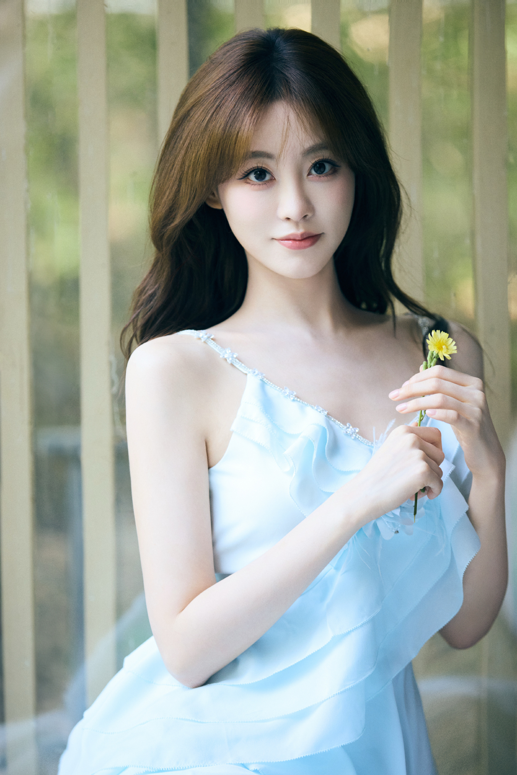 祝绪丹夏天的风