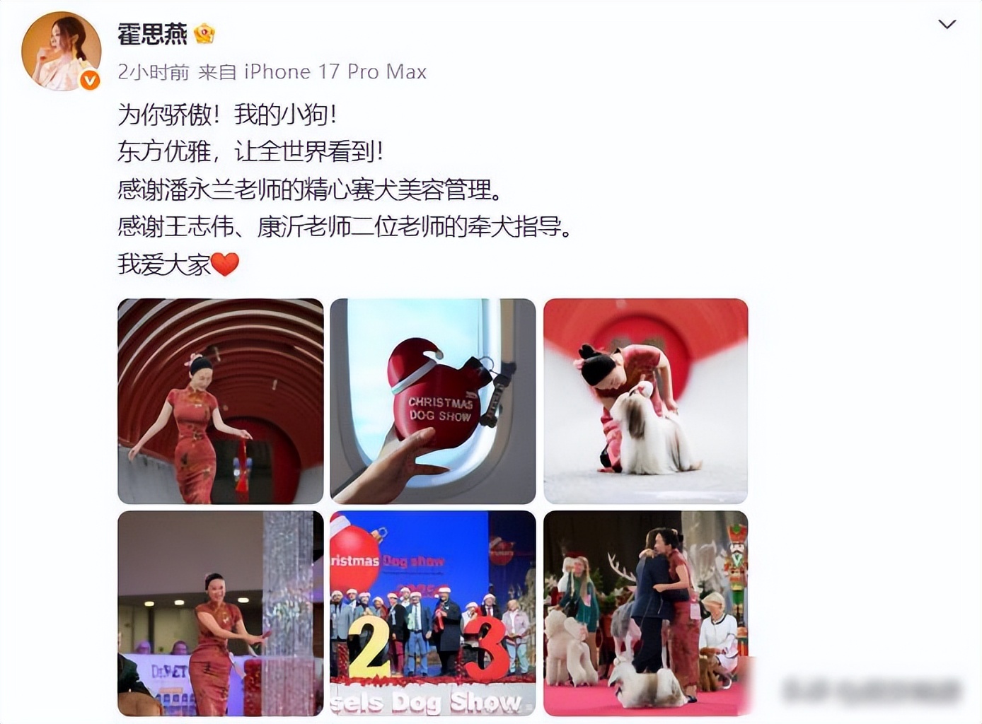 杜江连发三个“唯一”霍思燕穿旗袍牵中国西施犬参加国际犬赛夺冠