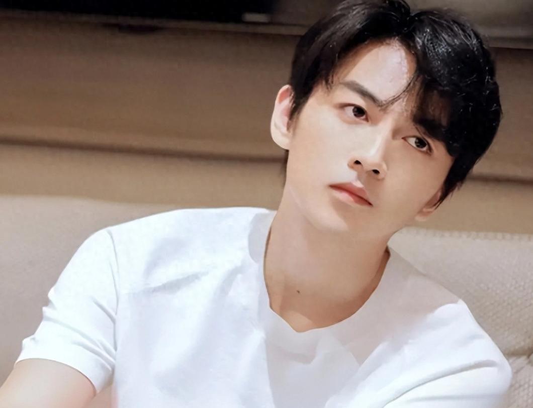 离婚9个月，38岁陈晓高调官宣喜讯，成了陈妍希高攀不起的存在