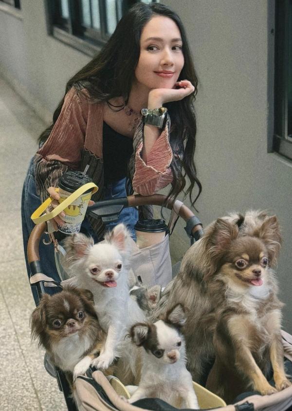 郭碧婷接爸爸住自己买的别墅!院子有上百只鸟狗猫,直夸女儿孝顺