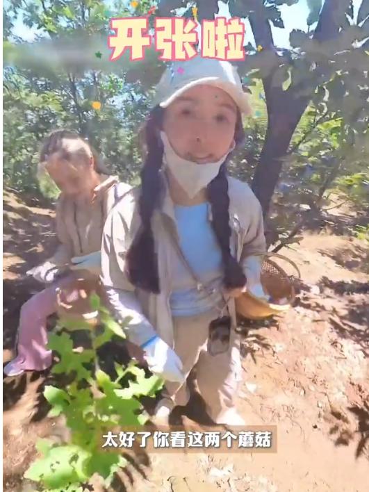 张含韵采菌上瘾，满头大汗真美！王菊捧咖啡野外摘菇，看蜘蛛尖叫