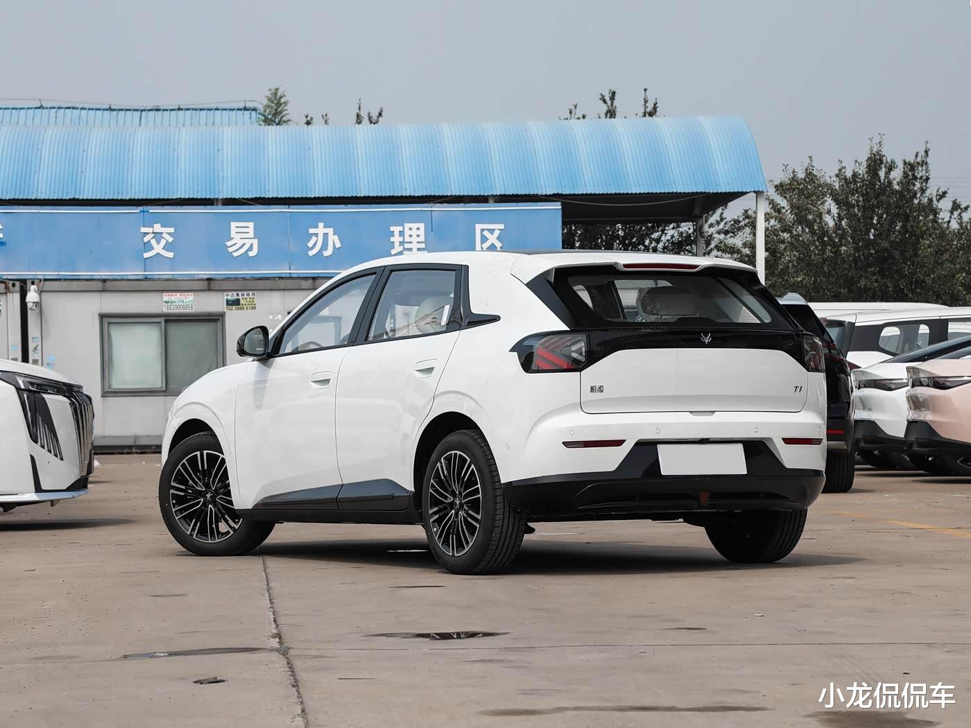 预售6.88万起，轴距近2米8，最长纯电续航425km，极狐T1即将上市