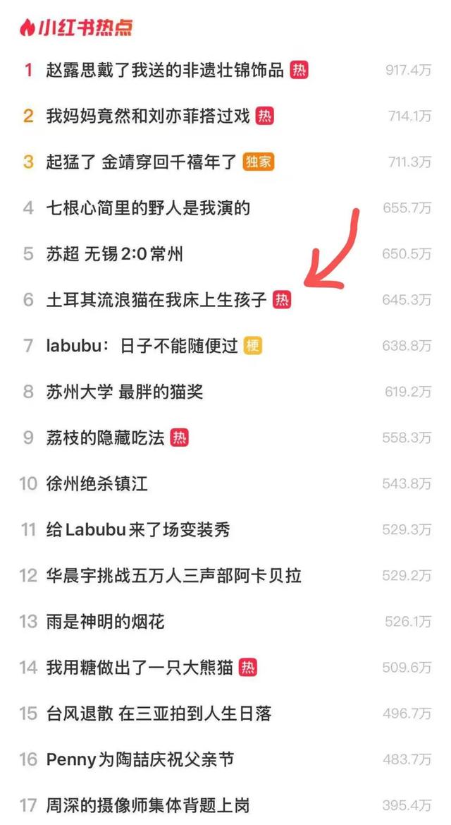 出海賺美金｜復盤1篇帖子5000karma經驗，與AiReddit插件發布