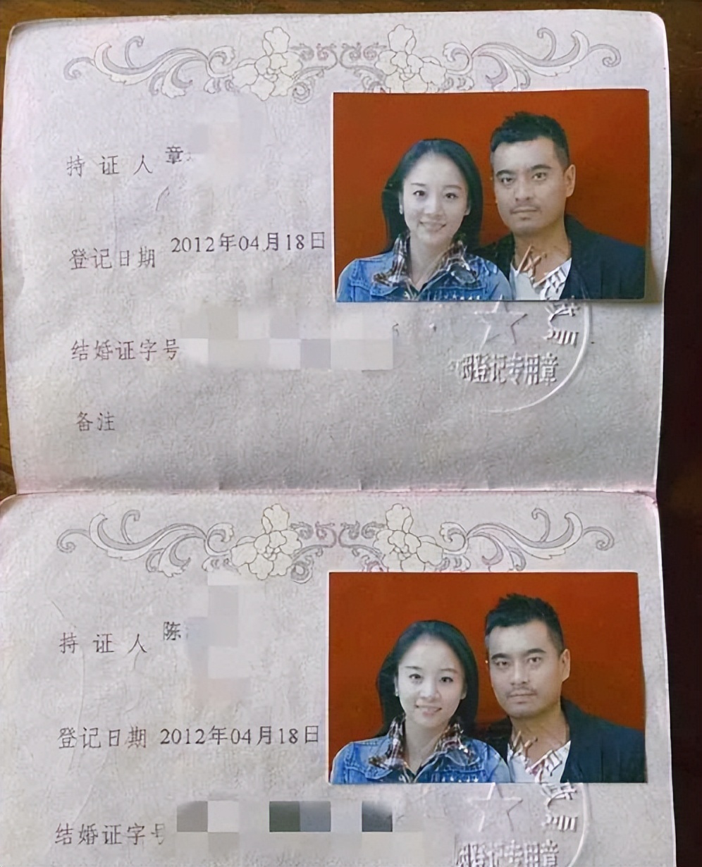 章龄之做梦也没想到,辛苦养大的12岁儿子,如今开始给陈龙长脸了