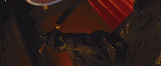 上映6天，把26天票房冠军动物城2打懵了，黄晓明给好莱坞上了一课