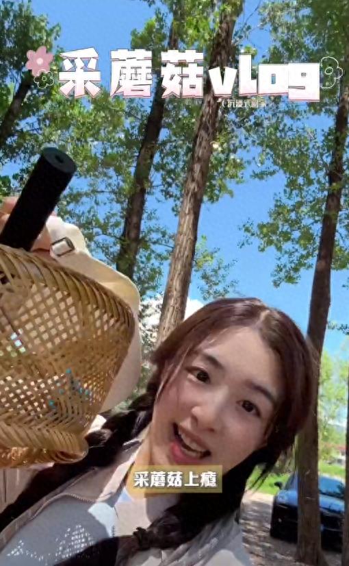 张含韵采菌上瘾，满头大汗真美！王菊捧咖啡野外摘菇，看蜘蛛尖叫