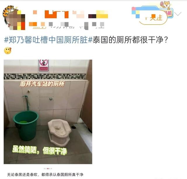 郑乃馨在泰国节目中,吐槽中国厕所脏,表示不理解为何上完不冲