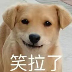 小米16上的新技术,把所有米粉都整不会了