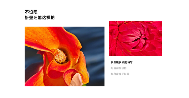 折疊屏選購終極難題：三款全能旗艦如何選？