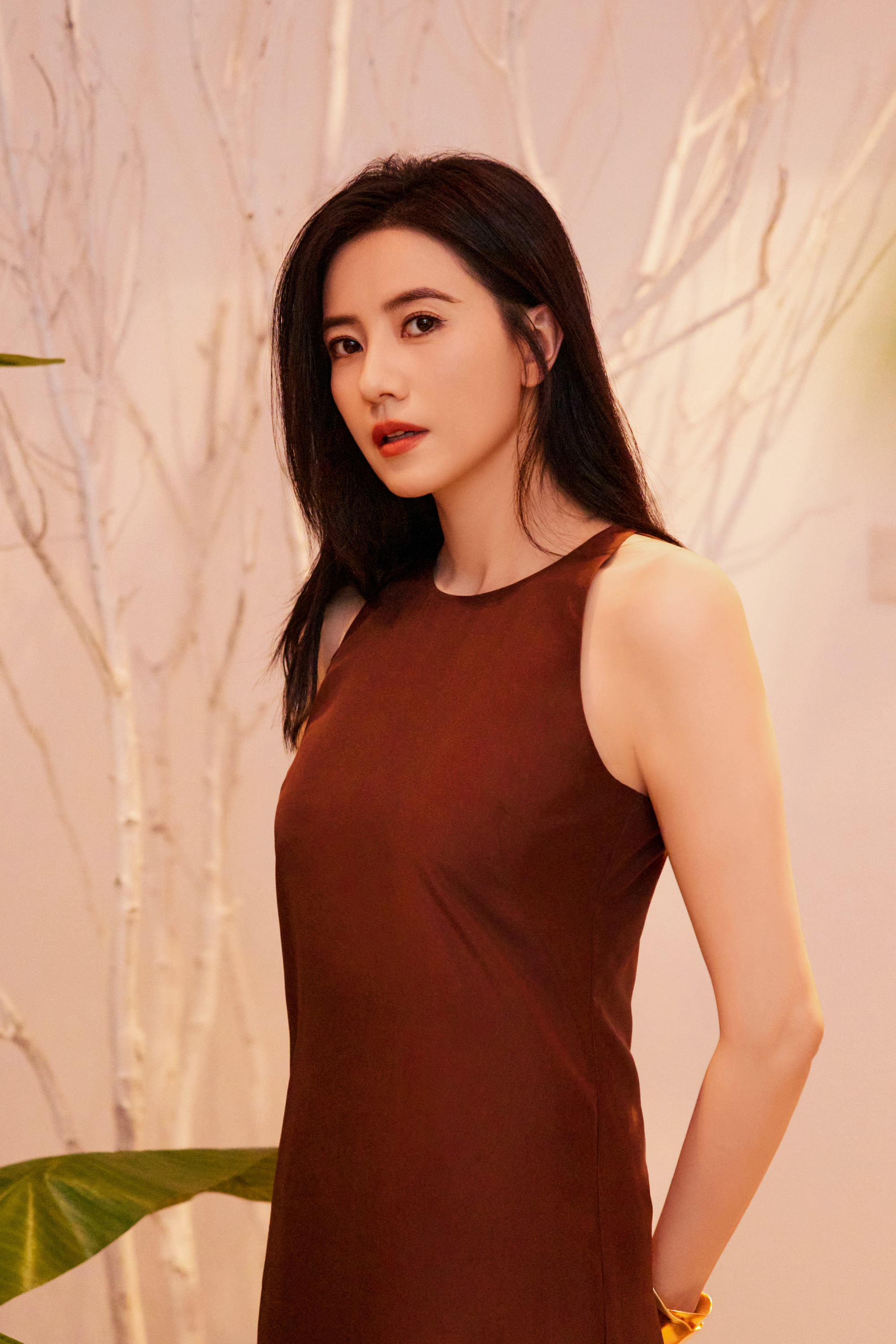 女明星，高圆圆