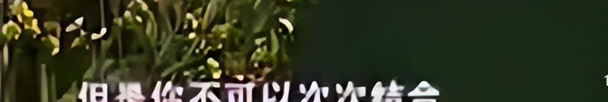 和章子怡离婚一年后，汪峰首谈离婚真相：她很美，但我厌倦了