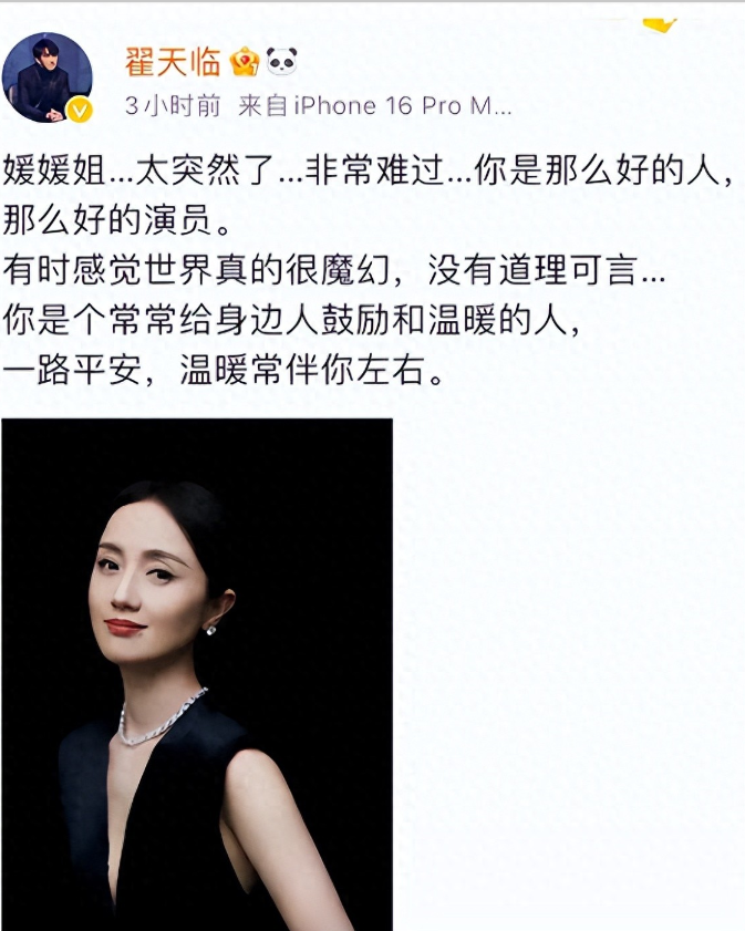 朱媛媛去世仅4天，令人恶心的一幕上演，翟天临突遭怒骂