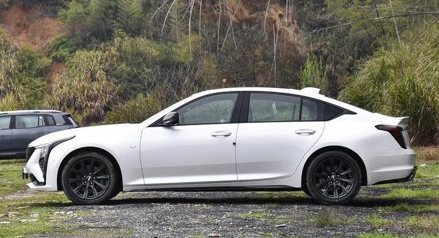 豪车跳水11万跌至18.59万，颜值动力全拉满，为何没人懂？