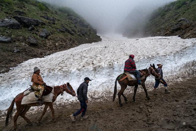 印度终止7亿美元芯片制造计划,印度芯片产业再受打击