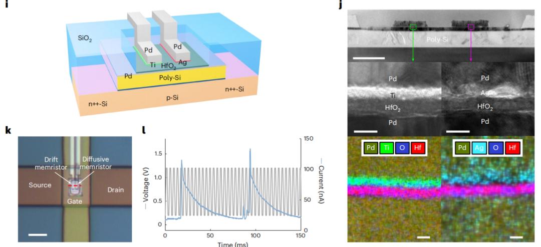 全新人工神經元面世，能耗比人腦低數千倍！或徹底改變AI部署方式