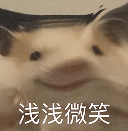 彻底玩疯！这16GB+1TB大屏发布，苹果估计要懵