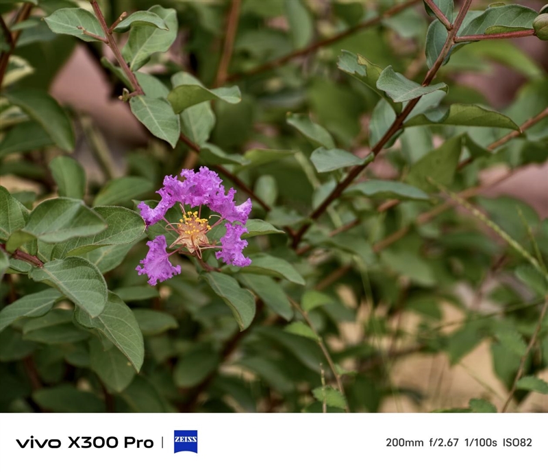 史上最強的影像旗艦！vivo X300 Pro評測：越級挑戰的全能神機