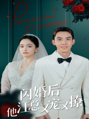 闪婚后江总他又宠又撩