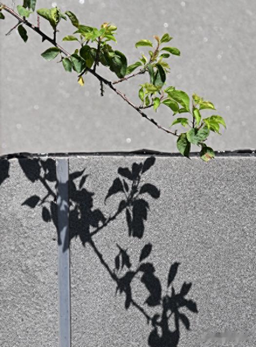 曝许凯将迎来有史以来最大的热度