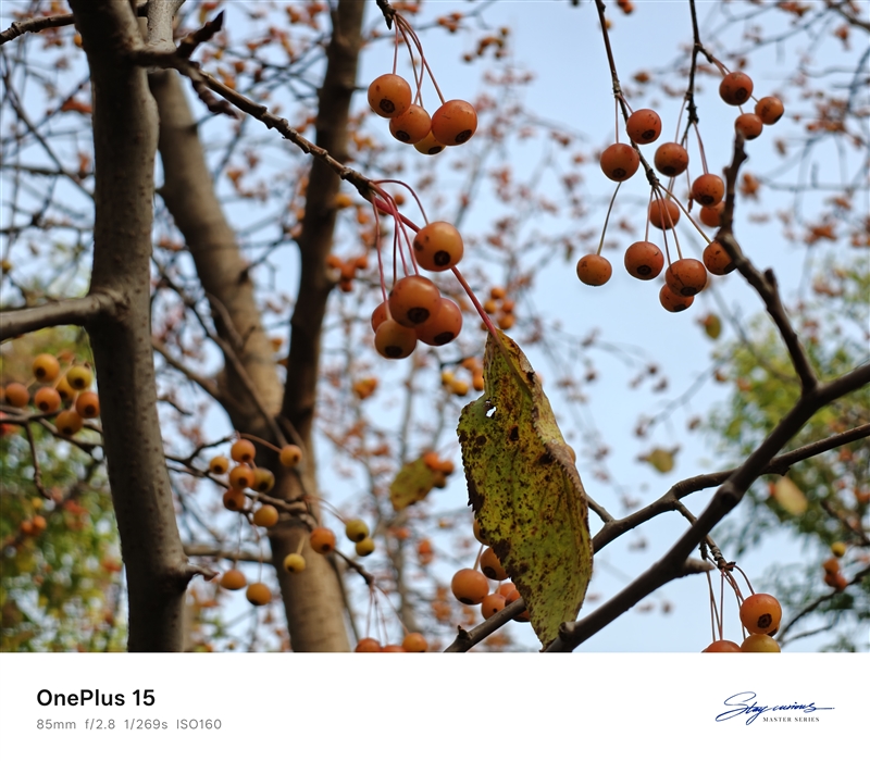 性能至上！ 一加 15評測：風馳游戲內核賦能 第五代驍龍8至尊版釋放極致戰力