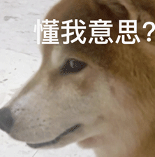 小米刚上架的599元新品,把所有网友整不会了