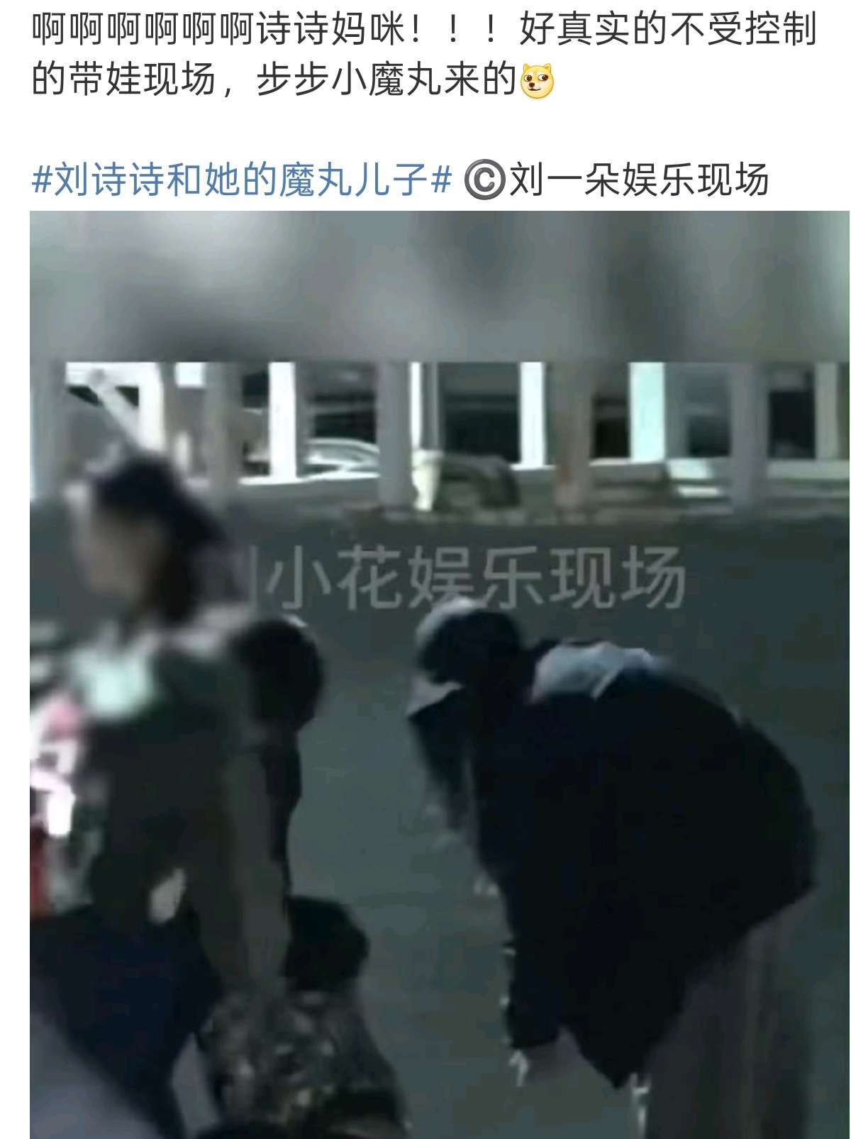 刘诗诗带儿子和朋友聚餐,6岁步步和玩伴打架 刘诗诗拉架险被绊倒