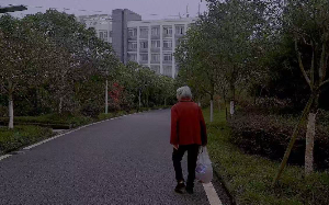 重男轻女的母亲：分房时处处想的是儿子们，老了儿子们不赡养，反倒将女儿告上法庭