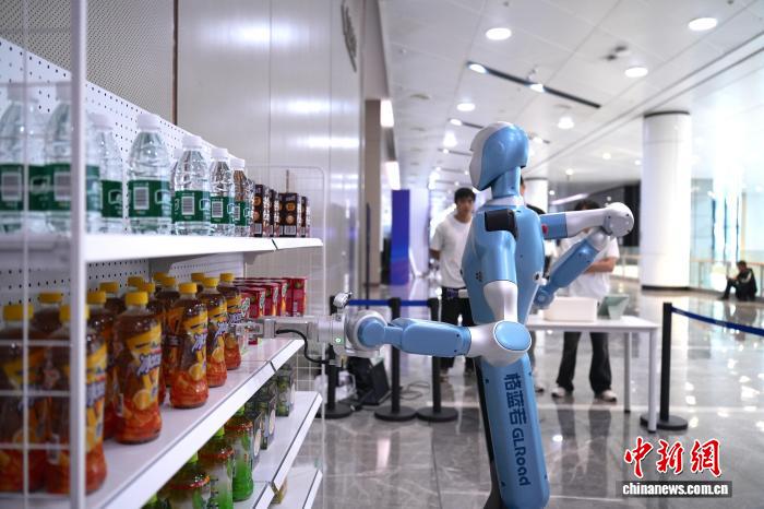 湖北人形機器人產業加速發展 民營企業大展拳腳