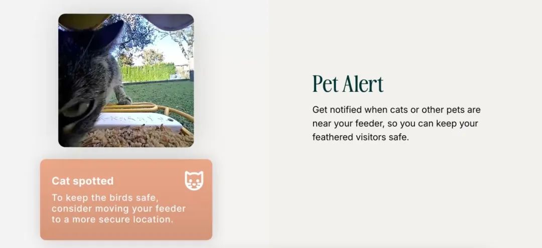 李现也来参与的“观鸟”,在全球拥有千亿级市场|产品观察