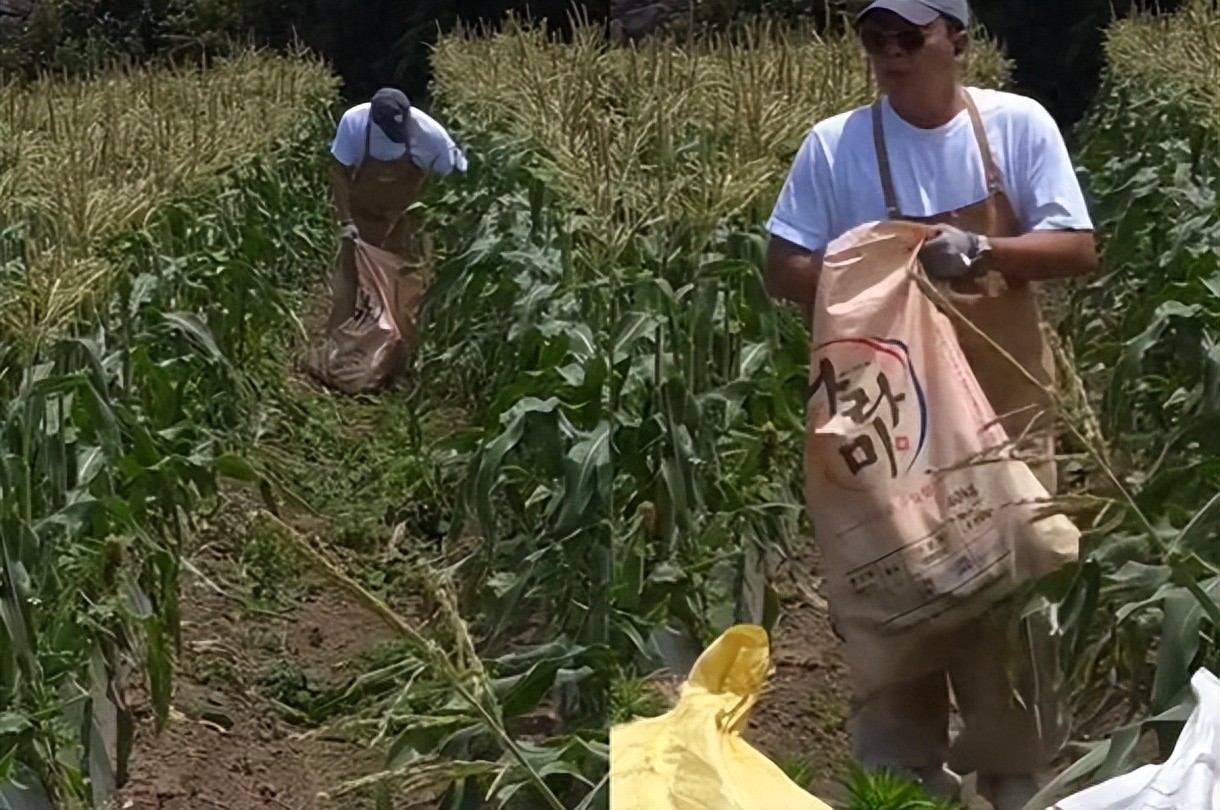 韩男星晒出近况，“时薪1.2万韩元体验收玉米”