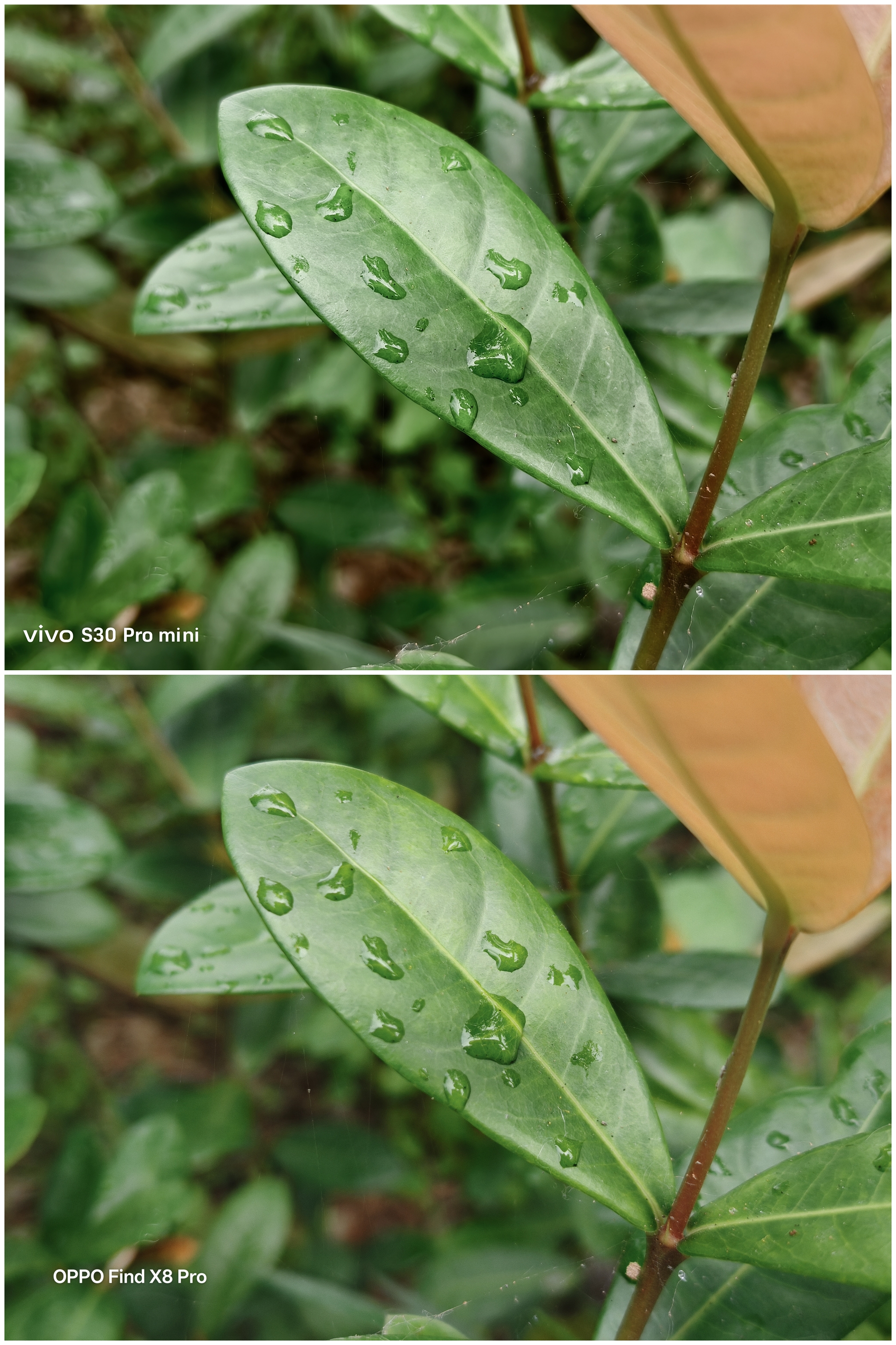 vivo S30 Pro mini评测:iPhone&富士相机的超值新平替