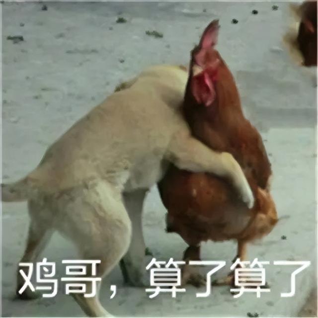 可拆卸電池手機終于殺回來了，這次我真有點心動