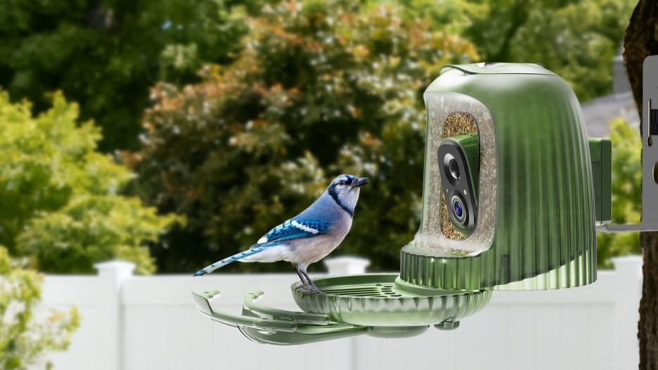 一款中國(guó)觀鳥App，竟讓美國(guó)人一天內(nèi)打開上百次