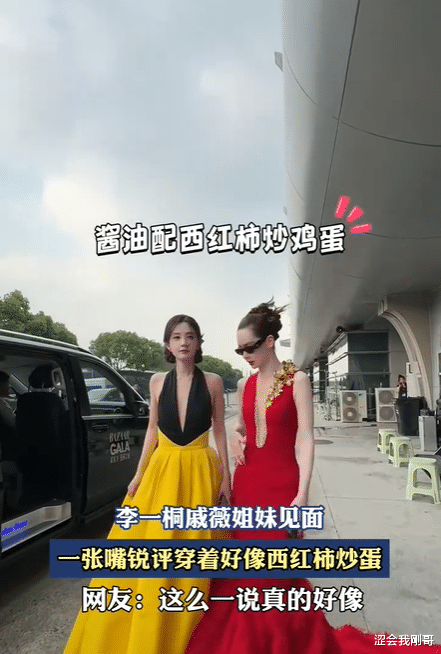 李一桐戚薇红毯同框,自嘲“西红柿炒蛋”:一场默契与欢乐的时尚碰撞