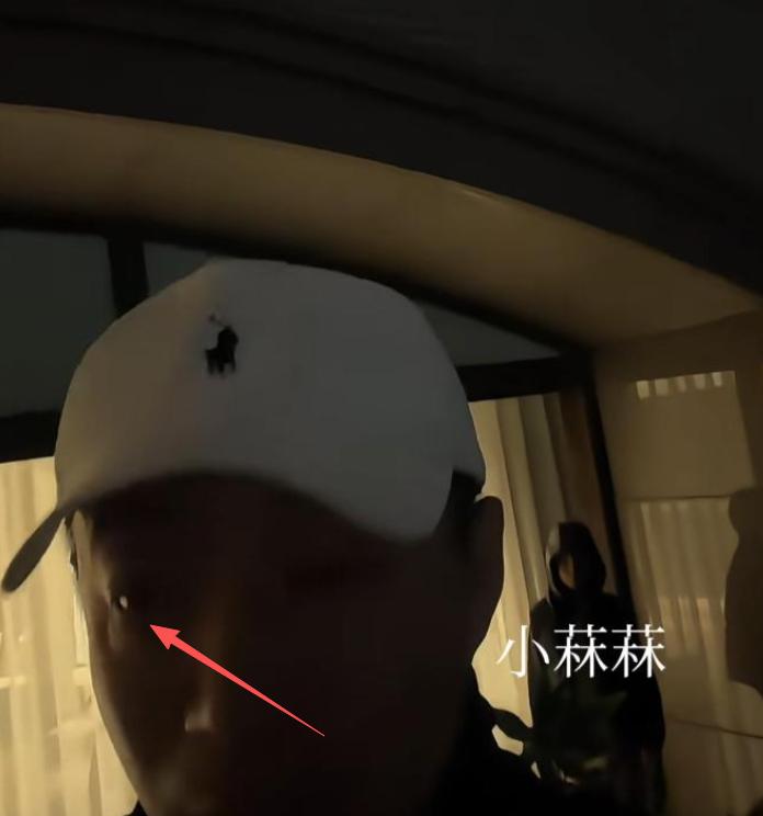 摊牌了！临近大S忌日，带孩子回北京的张兰，没给S家留一丝\体面\