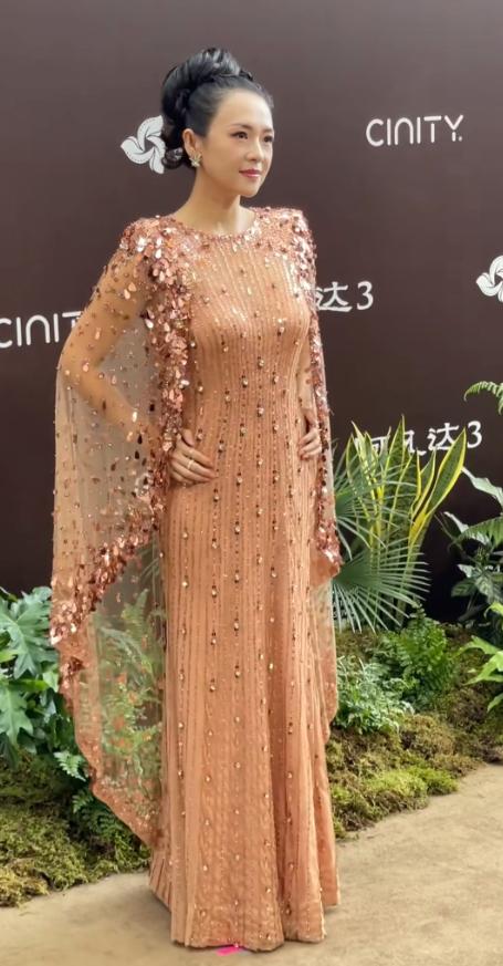 邓超携妻亮相电影首映礼！孙俪穿深V鱼尾裙肤白貌美，忍不住偷亲