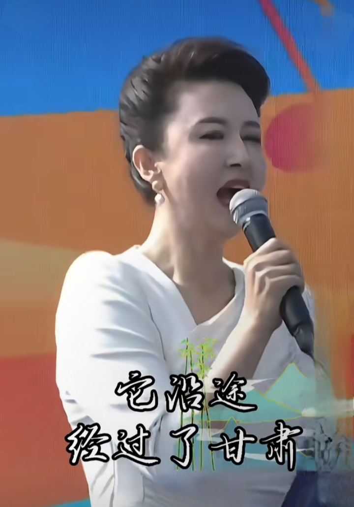 张蕾聊黄河流域,白裙盘发造型,美貌与气质并存