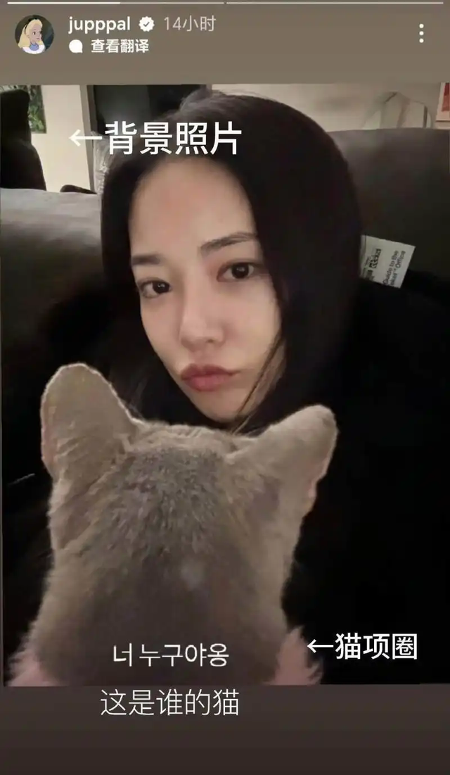 权志龙回应Sana，对李珠妍保持沉默，引韩网友热议