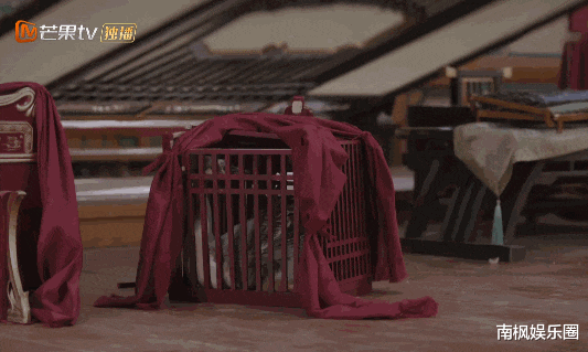 20分钟收视第一,热度高达8300!观众好评如潮,这部剧,爆了