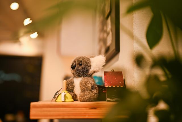 水桶型入门全画幅微单 为什么选择尼康Z5II