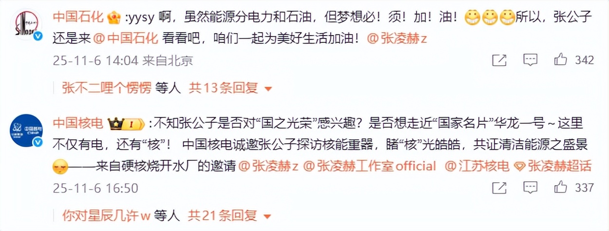 5大央企“点名”，暴露27岁张凌赫真实处境，白鹿一个字都没说错