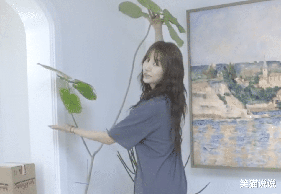 尹恩惠晒新家装扮：小清新风格很淡雅，家具少摆设简单