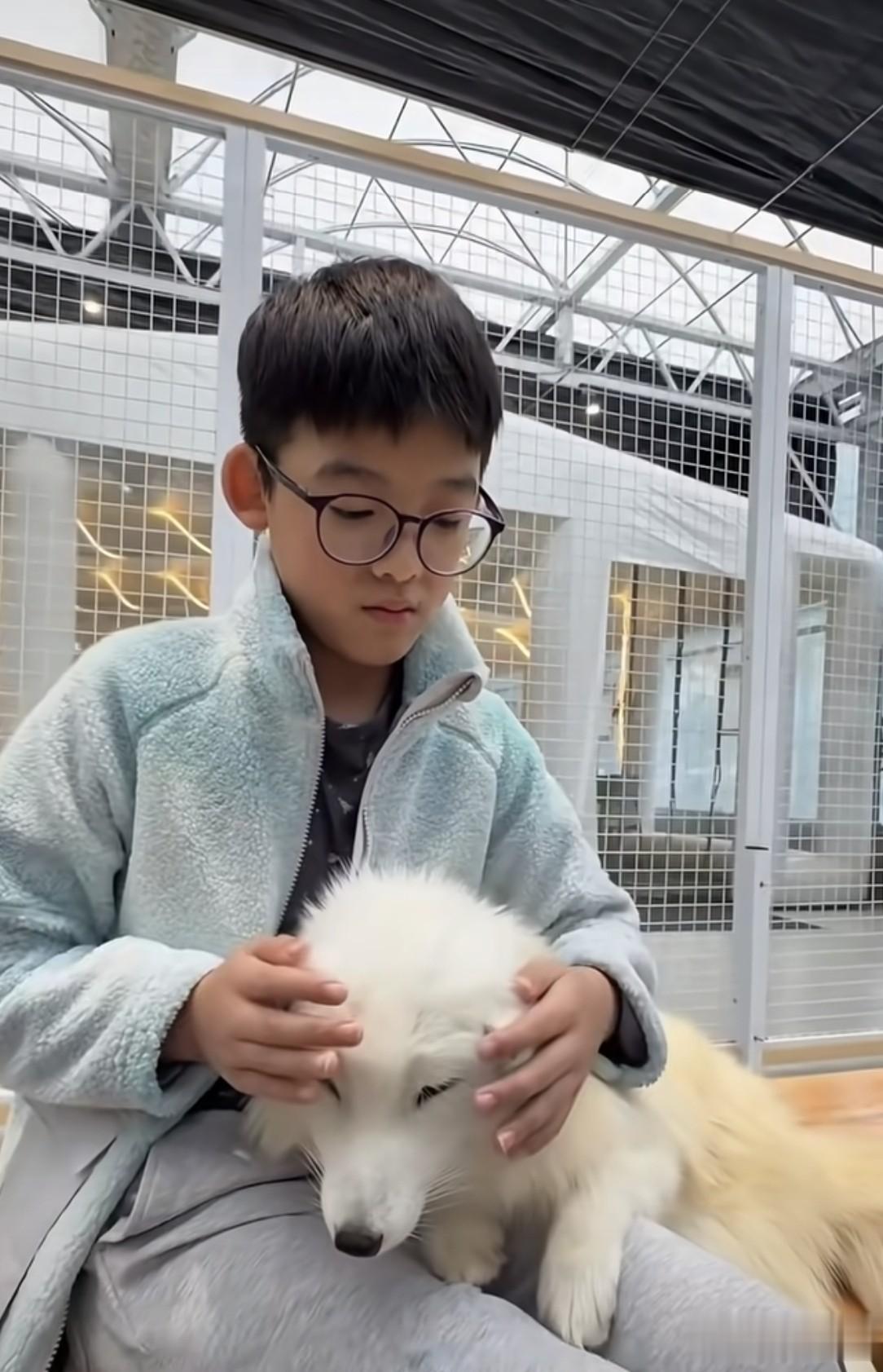 范玮琪带娃去动物园，俩儿子长相清秀好勇敢！抱狐狸摸蜥蜴蛇绕脖