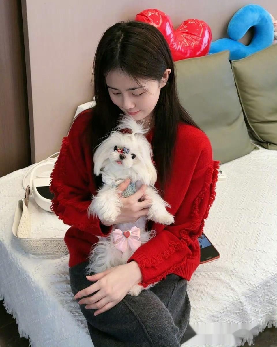 白鹿｜喜欢看白鹿的日常生活照，期待《唐宫奇案》李佩