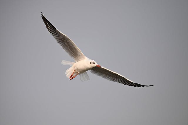 假期拍不停 尼康为你打造专属影像记忆