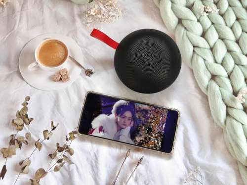 蓝牙音箱什么品牌好? 2025排行榜前10名性价比高的蓝牙音箱推荐！