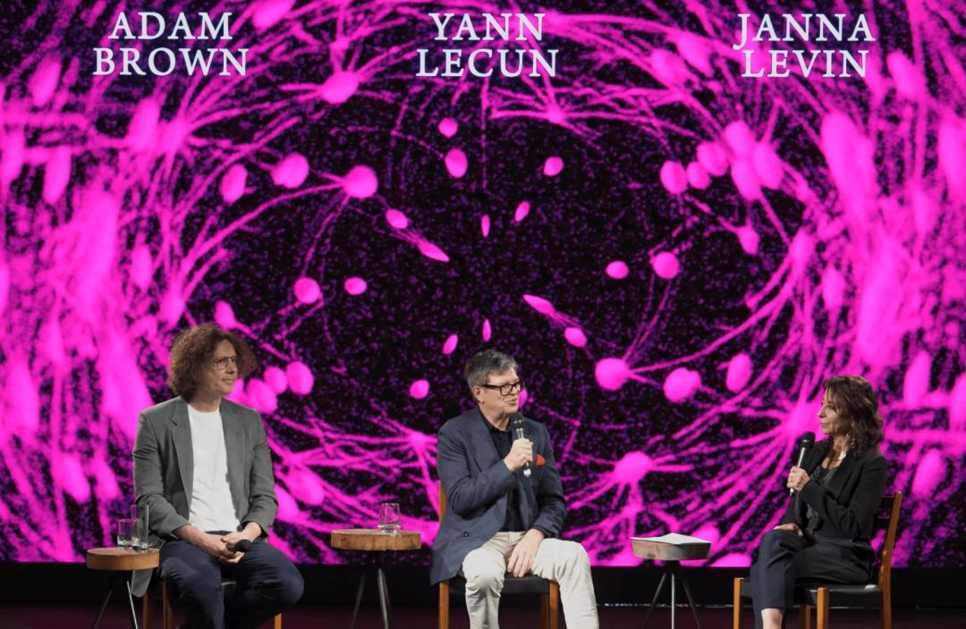 大模型真懂你嗎？楊立昆最新論辯：它連貓的智能都還不如